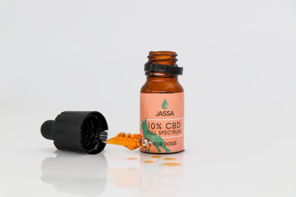 10% CBD TROPFEN FÜR TIERE – Bild 2