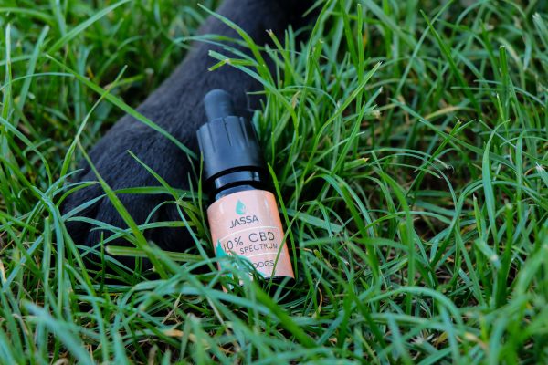 10% CBD TROPFEN FÜR TIERE – Bild 3